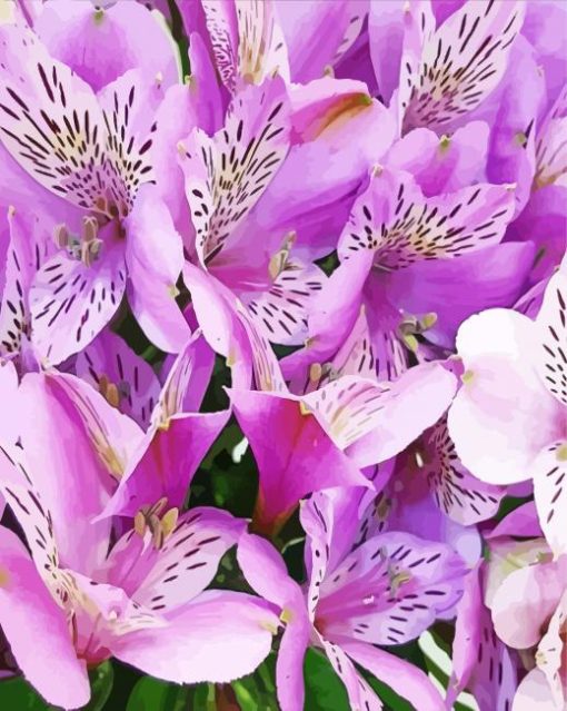 Purple Alstroemeria Flower Paint By Numbers