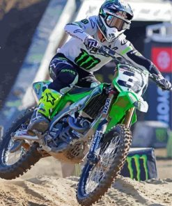 Supercross Eli Tomac Paint By Numbers