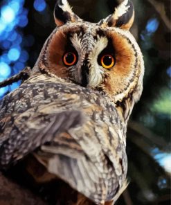 Aesthetic Long Eared Owl Paint By Numbers