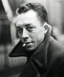 Albert Camus Paint By Numbers