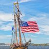 American Tall Ships Flag Paint By Numbers