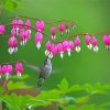 Bird On Bleeding Heart Paint By Numbers