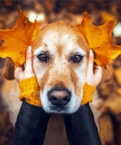 Dogs In Autumn Paint By Numbers