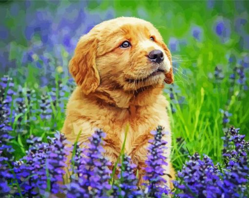 Golden Puppy In Lavender Field Paint By Numbers