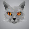 Grey Cat With Orange Eyes Illustration Paint By Numbers