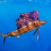 Sailfish Paint By Numbers