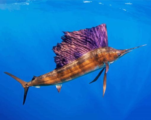 Sailfish Paint By Numbers