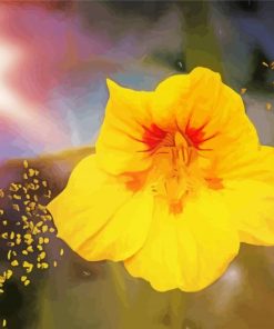 Yellow Nasturtium Art Paint By Numbers