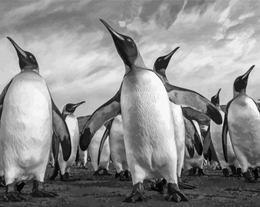 Adorable Black And White Penguins Paint By Numbers