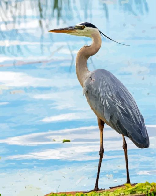 Adorable Grey Heron Paint By Numbers