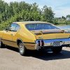 Beige Oldsmobile 442 Paint By Numbers