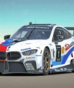 Bmw Gte M8 Car Paint By Numbers