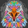 Colorful Eagle Head Paint By Numbers