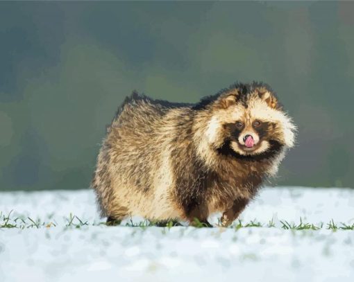 Cute Snow Raccoon Paint By Numbers