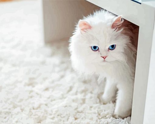 Fluffy White Cat Paint By Numbers