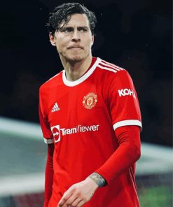 Handsome Victor Lindelof Paint By Numbers