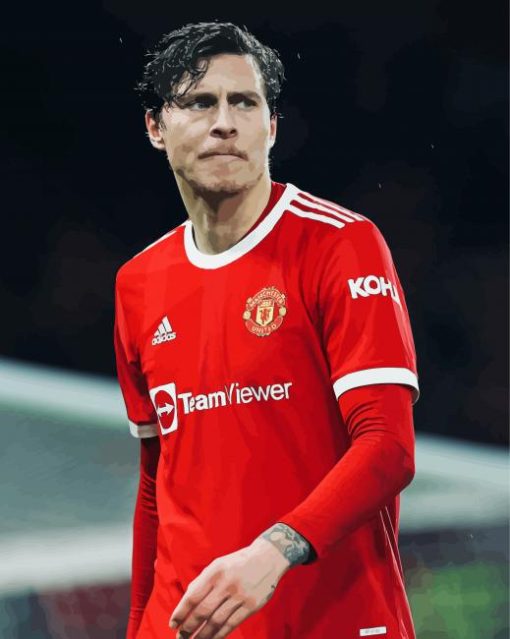 Handsome Victor Lindelof Paint By Numbers