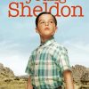 Young Sheldon Paint By Numbers