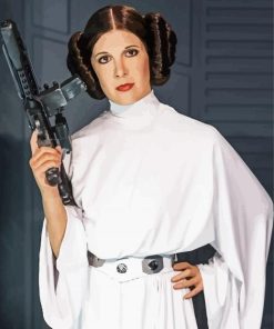 Princess Leia paint by numbers