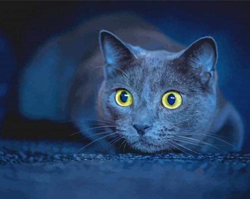 Korat Cat Paint By Numbers