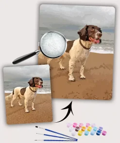 Painting By Numbers Custom Pets