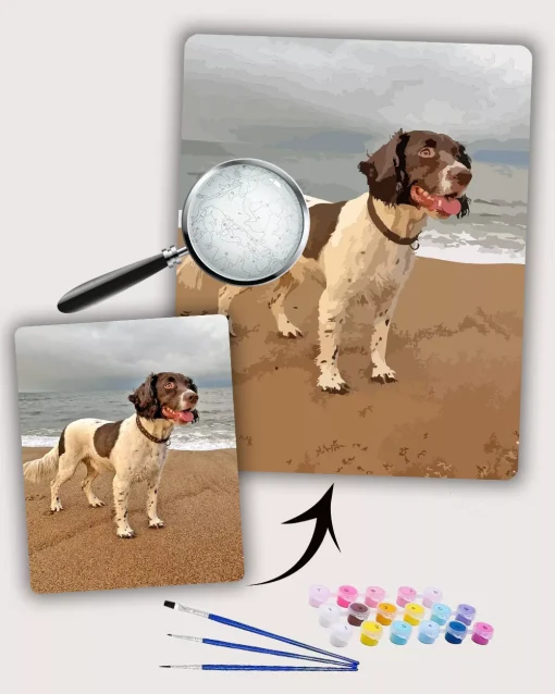 Painting By Numbers Custom Pets