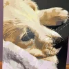 Painting By Numbers Custom Pets gallery img 11