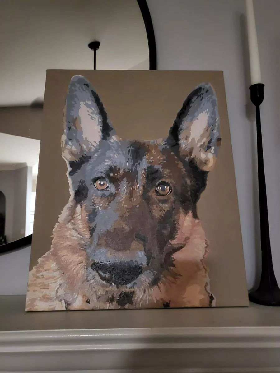 Painting By Numbers Custom Pets rev 4
