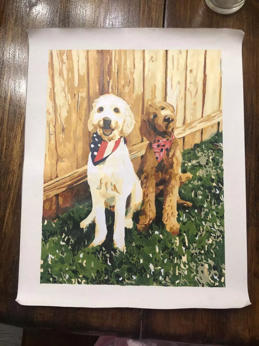 Painting By Numbers Custom Pets rev 5