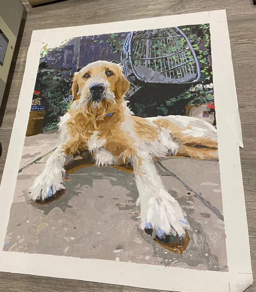 Painting By Numbers Custom Pets rev 7