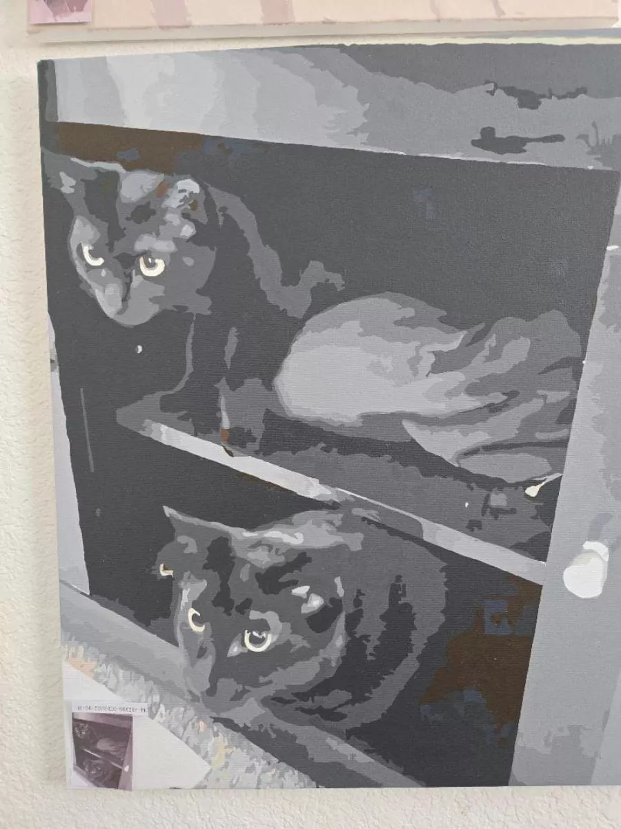 Painting By Numbers Custom Pets rev 8